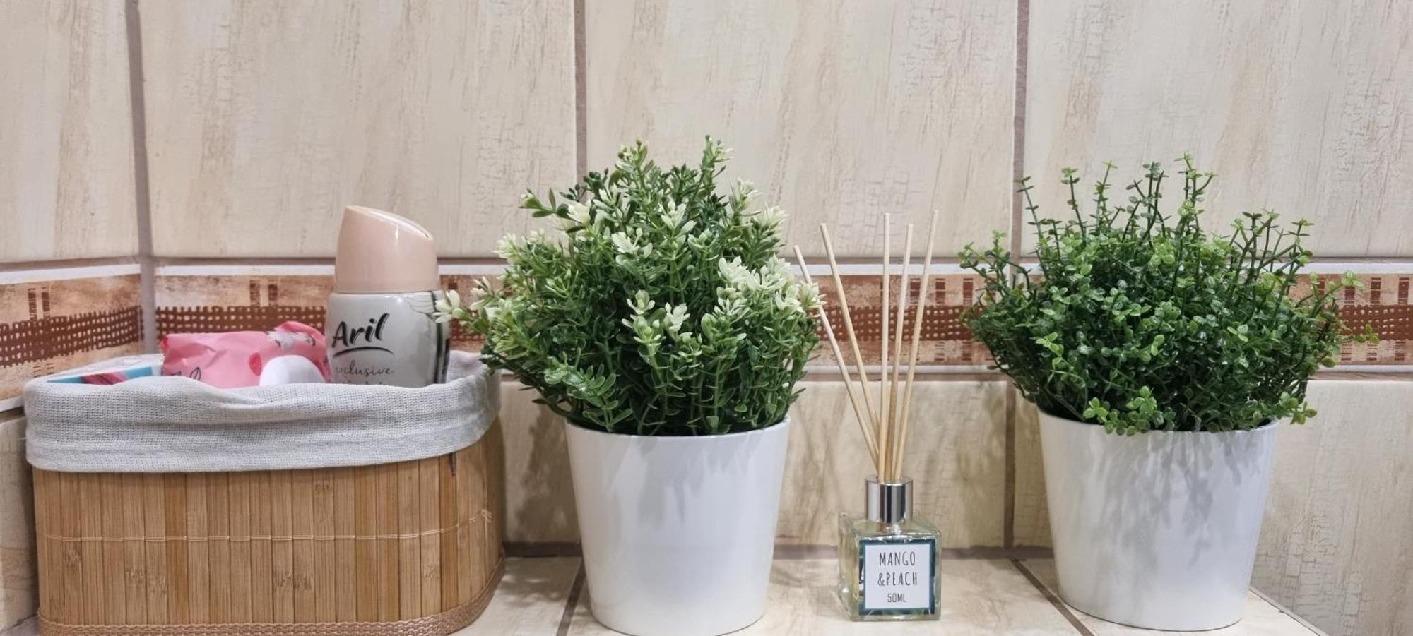 Apartament Cumulus Chojna Ngoại thất bức ảnh